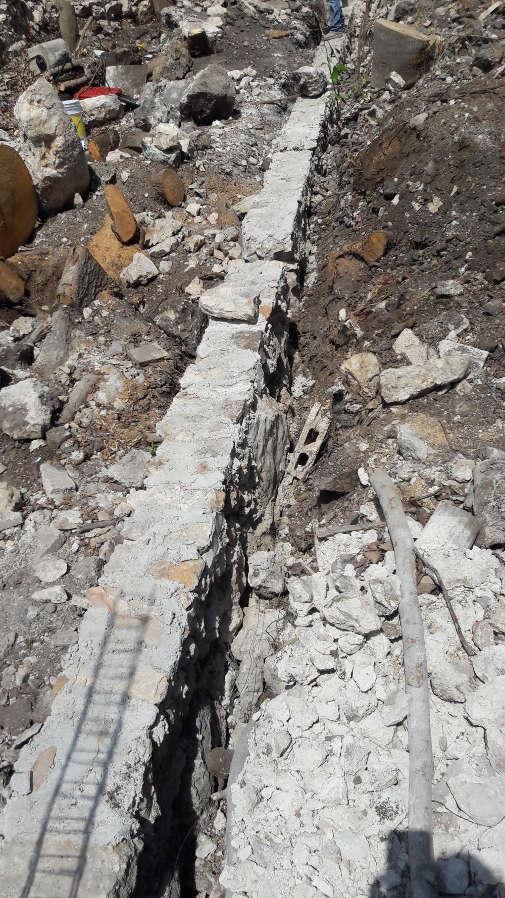 1CD21449-BB84-4E98-946C-93BF55E3F01B