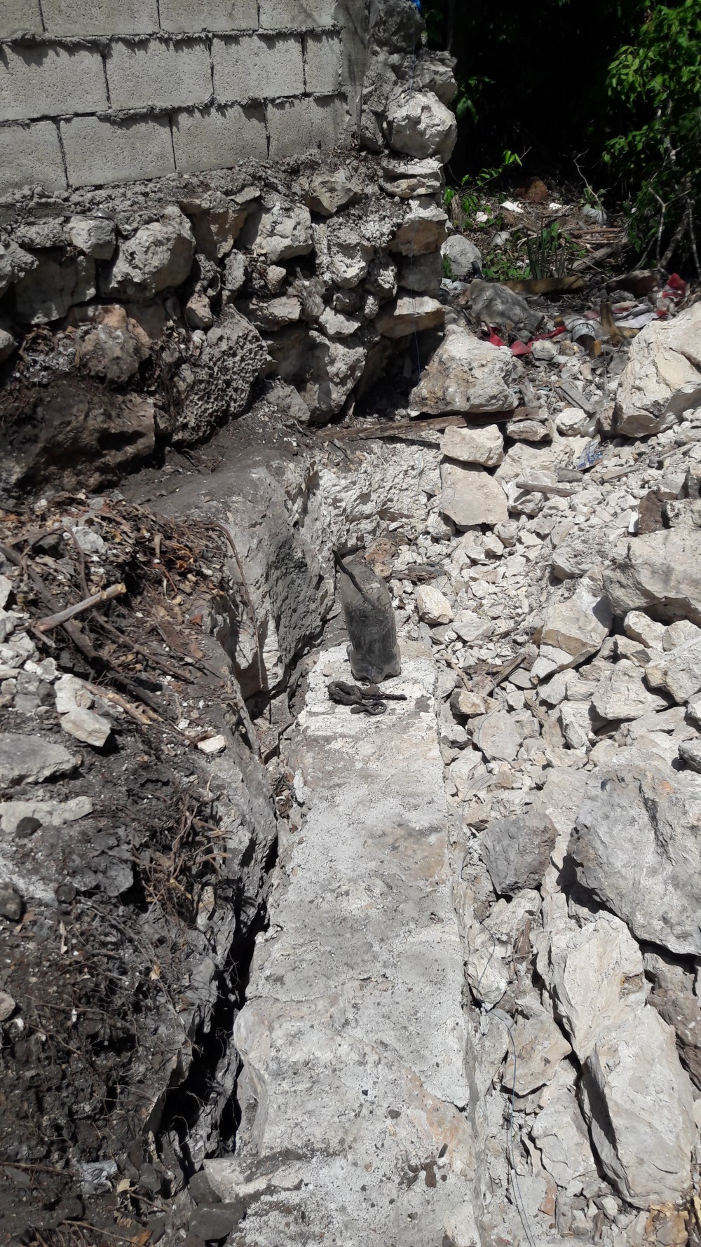 38EC5DE3-01E5-46F9-B892-AB03E7B3839C