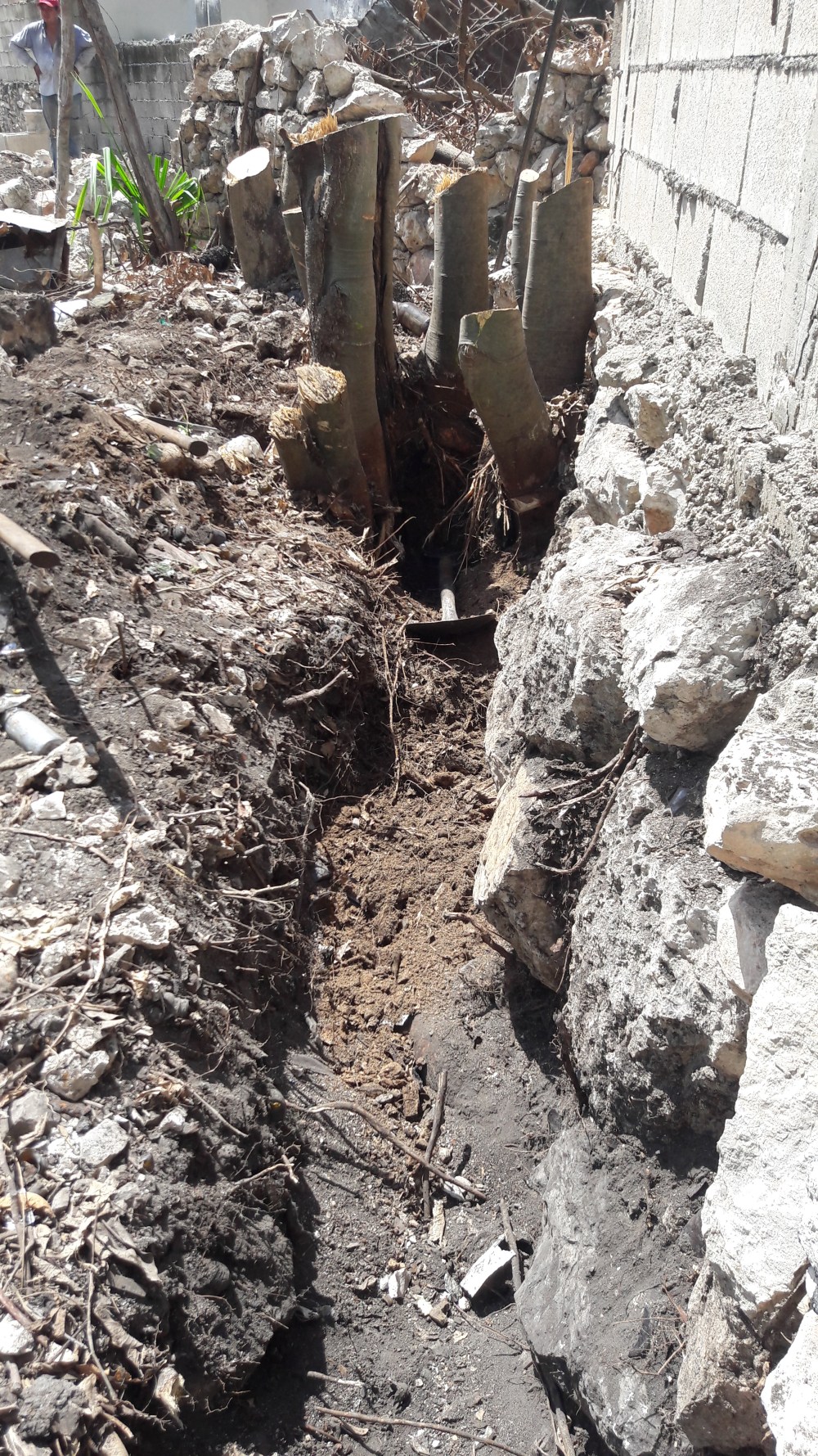 5AE451D4-00D8-4F31-88B6-F8DB3C0B9C8C